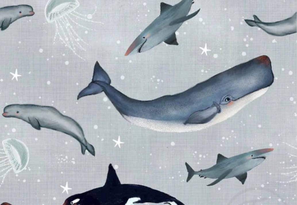 Whales Snood